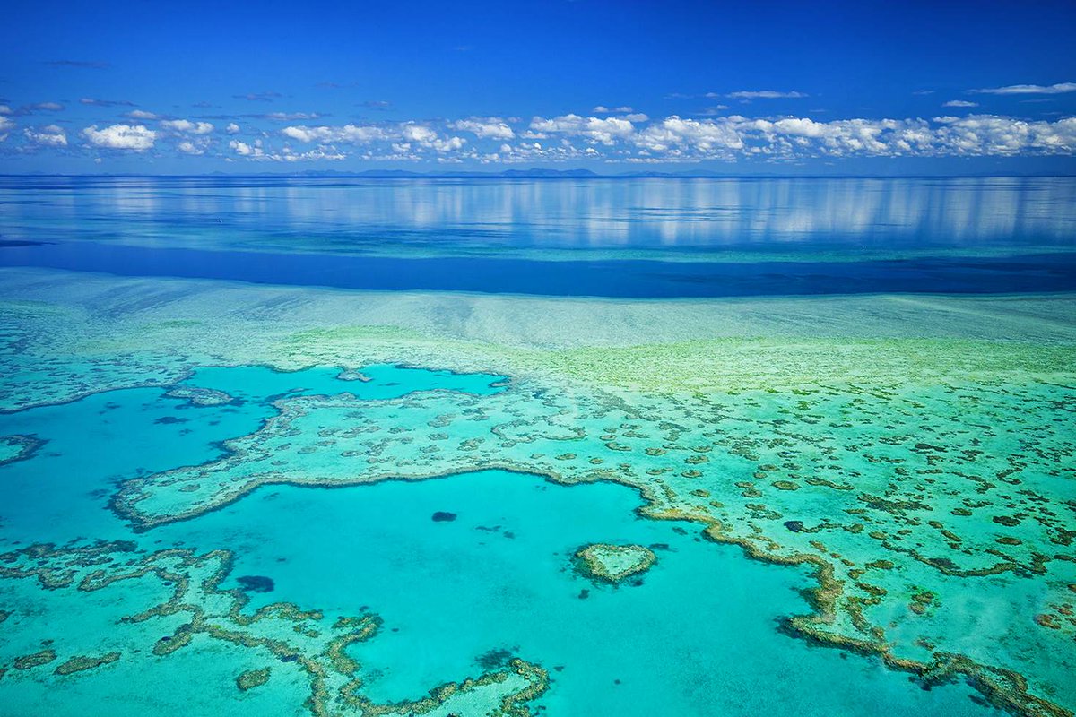 lonelyplanet's tweet photo. The Great Barrier Reef and beyond: a beginner’s guide to #Queensland’s coast
https://t.co/E0o2urGtPt #travel #lp https://t.co/K1lJZP3JVo