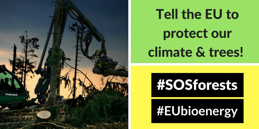 BrunaDCampos's tweet photo. #SOSforest #bioenergy Join us in telling the #EU to protect our #climate and #trees https://t.co/ApjoZX08rU https://t.co/J1hk5luQXf