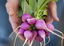 chapelhillgov's tweet image. Last downtown Pop Up farmers market Today from 3:30 to 5:30 p.m. at #140W.FranklinPlaza. Help your local community, shop and #EatLocally!