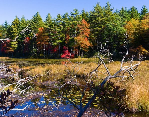 WellsworthHotel's tweet photo. Fall in Southbridge is so beautiful! What are you most excited about? #autumn #newengland #colorsful #massachusetts https://t.co/FJq9jMI2kL