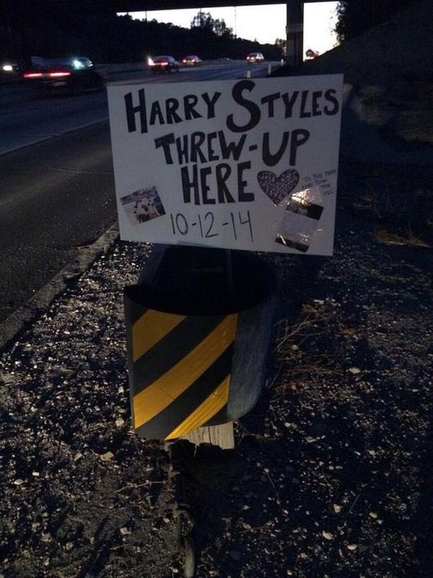 samanthastyIes_'s tweet photo. In honor of my birthday, this time two years ago Harry threw up on the side of the road #iconic 💗💗💗💗 https://t.co/OorGiqQptf