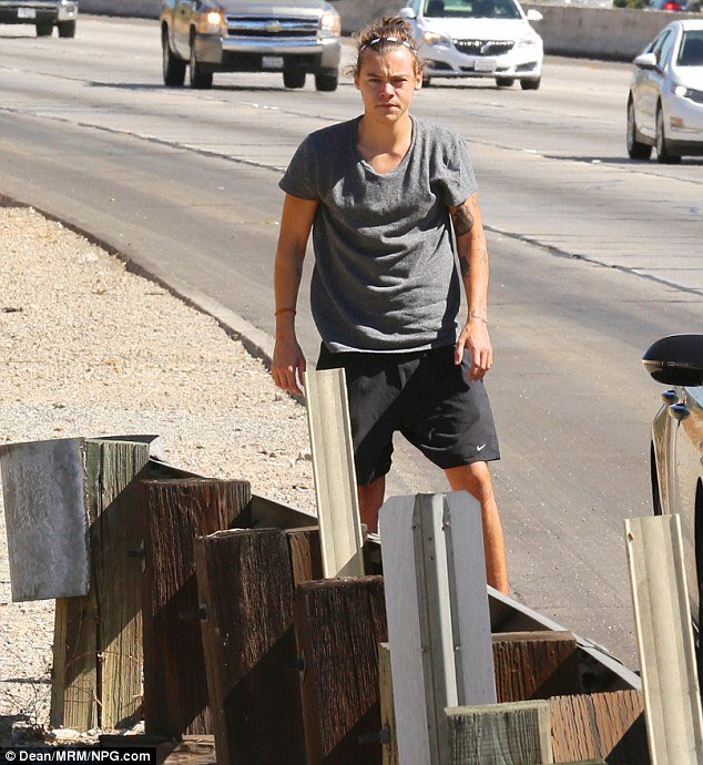 samanthastyIes_'s tweet photo. In honor of my birthday, this time two years ago Harry threw up on the side of the road #iconic 💗💗💗💗 https://t.co/OorGiqQptf