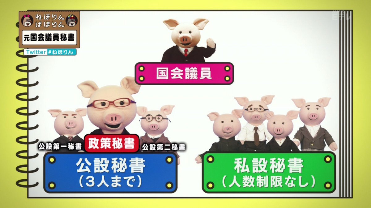 政策から洗濯まで ミスが許されない超激務な国会議員秘書の仕事を支えてくれたのはsmap ねほりんぱほりん Togetter