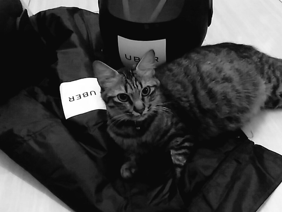 fanodriver's tweet photo. She love uber so much...and you??@Uber_IDN @uberjkt_care @Uber #ubermotor #uberbogor @Uber_Support https://t.co/EWibh13jO3