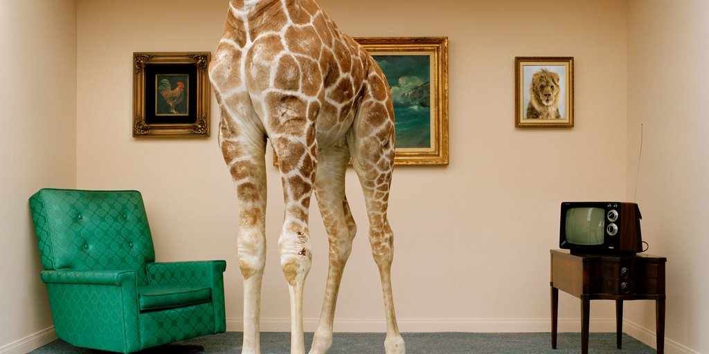 TALLengineers's tweet image. TALL just got taller! Same great service, but with even more to offer. We've joined @Entuitive: tallengineers.com/entuitive.php