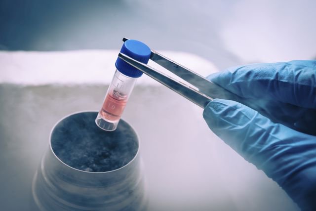 FertilityPrtnrs's tweet photo. How Long Can You Keep An Embryo Frozen? https://t.co/ITGgoTUXmP   #FPIVF #TopInMissouri #HelpingFamiliesGrow https://t.co/VDc7faYXXE