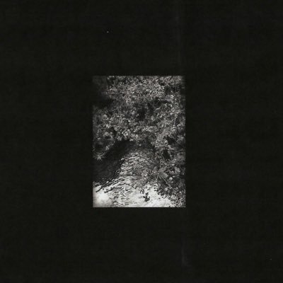 [Album Review] The Trees and The Wild – Zaman, Zaman warningmagz.com/2016/09/20/alb…