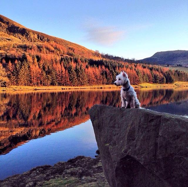 Darren Wright tweet media