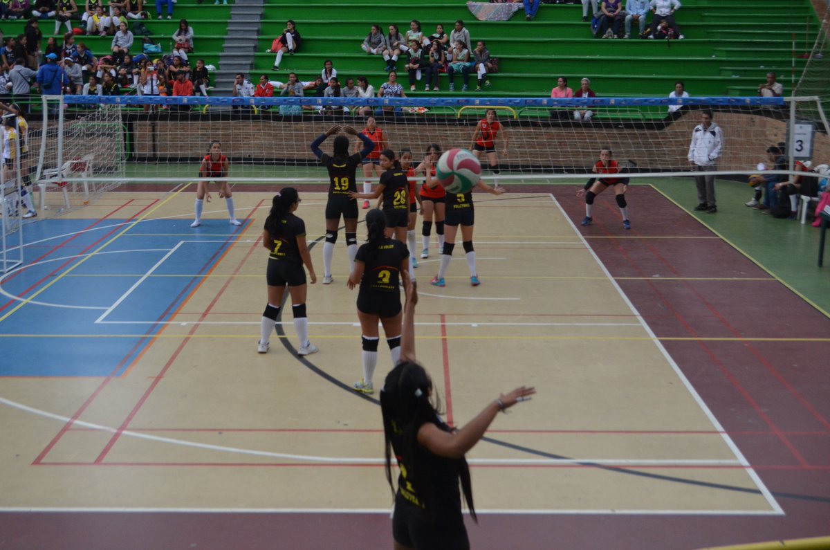 Gazu_cliente's tweet photo. #FestinalVoley https://t.co/pY5mQJCCm7