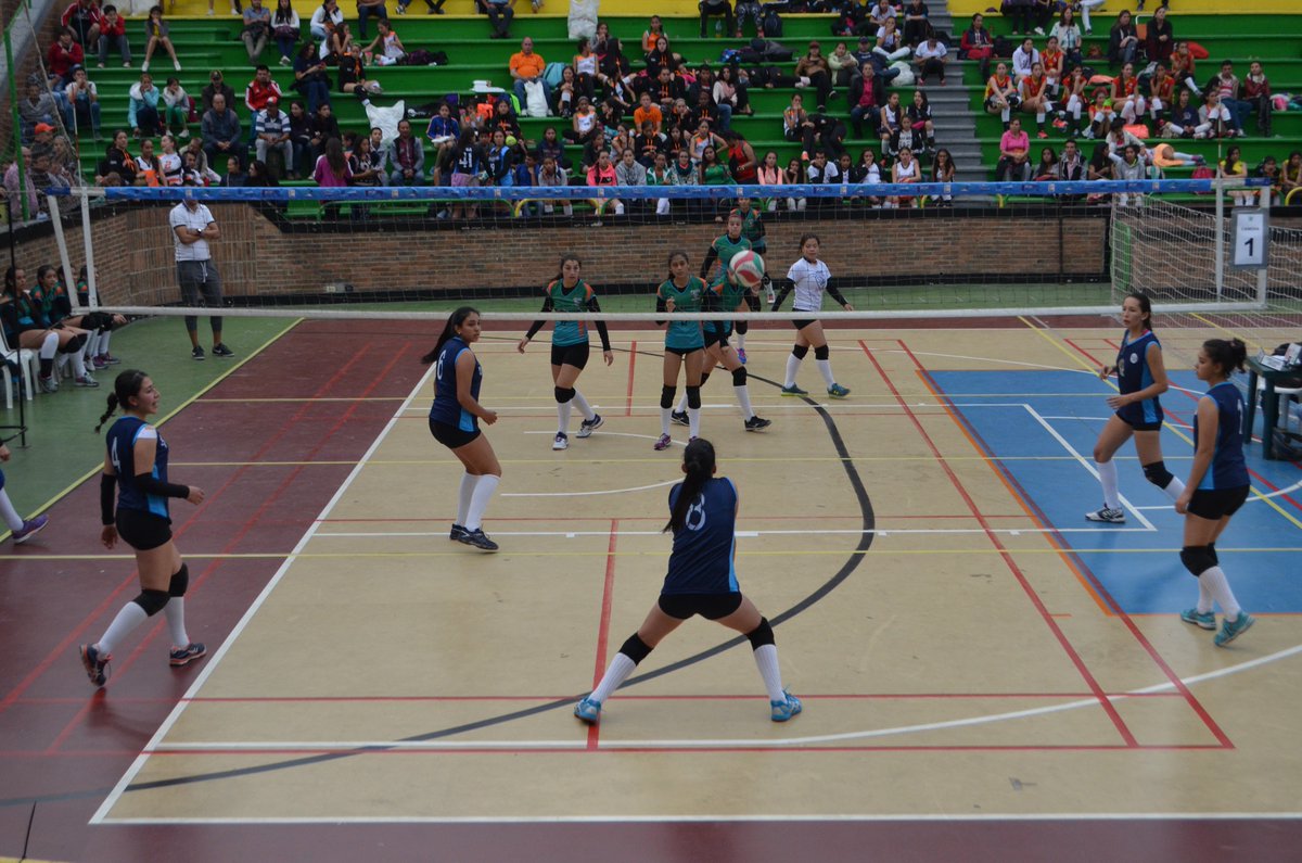 Gazu_cliente's tweet photo. #FestinalVoley https://t.co/pY5mQJCCm7