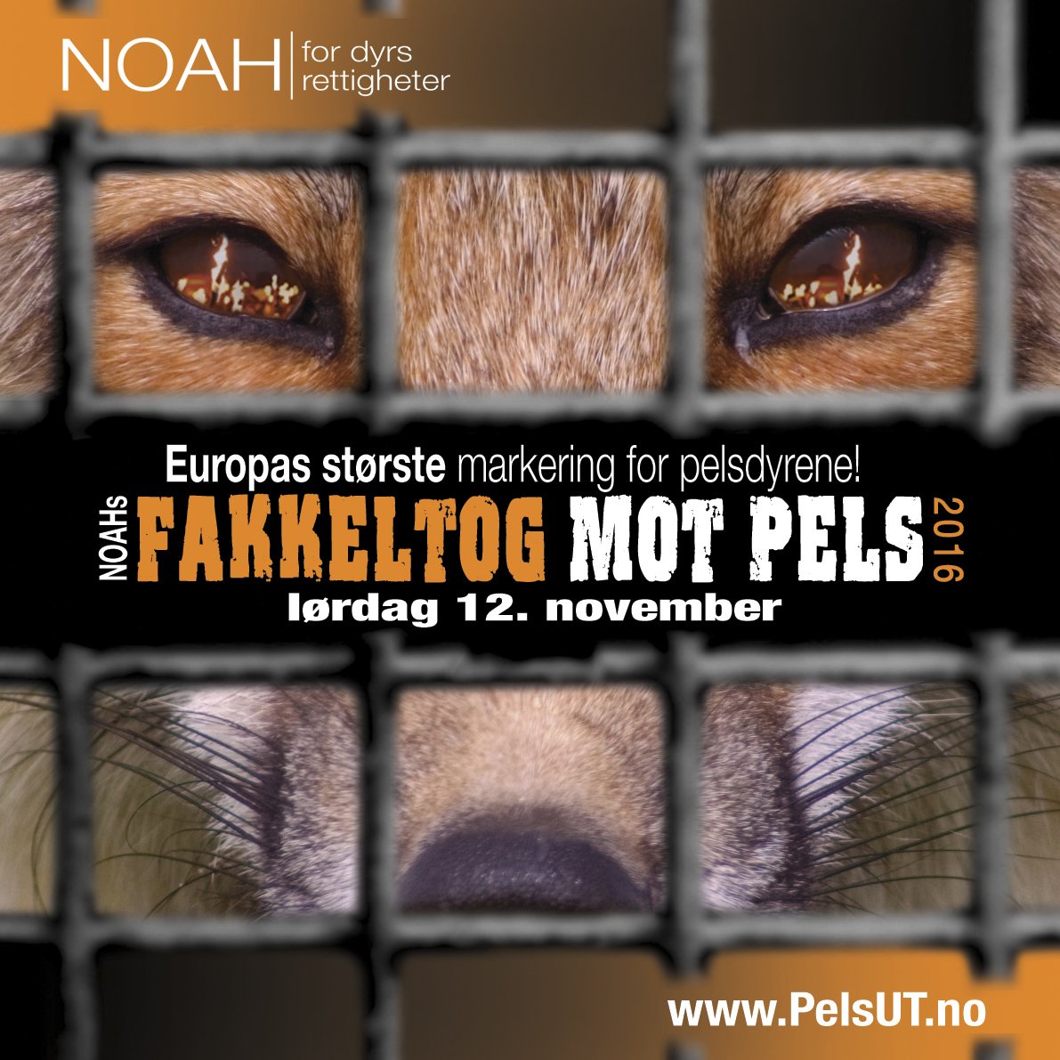I dag er det 1 mnd. til det braker løs i NOAHs #fakkeltogMOTpels!
pelsUT.no