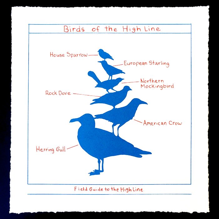 PRINTED_MATTER's tweet photo. Mark Dion has created a new 2-color screenprint "Birds of the High Line" feat. a stacked up cast of avian wildlife  https://t.co/2bf72a79dX https://t.co/2Ff85uPkLw