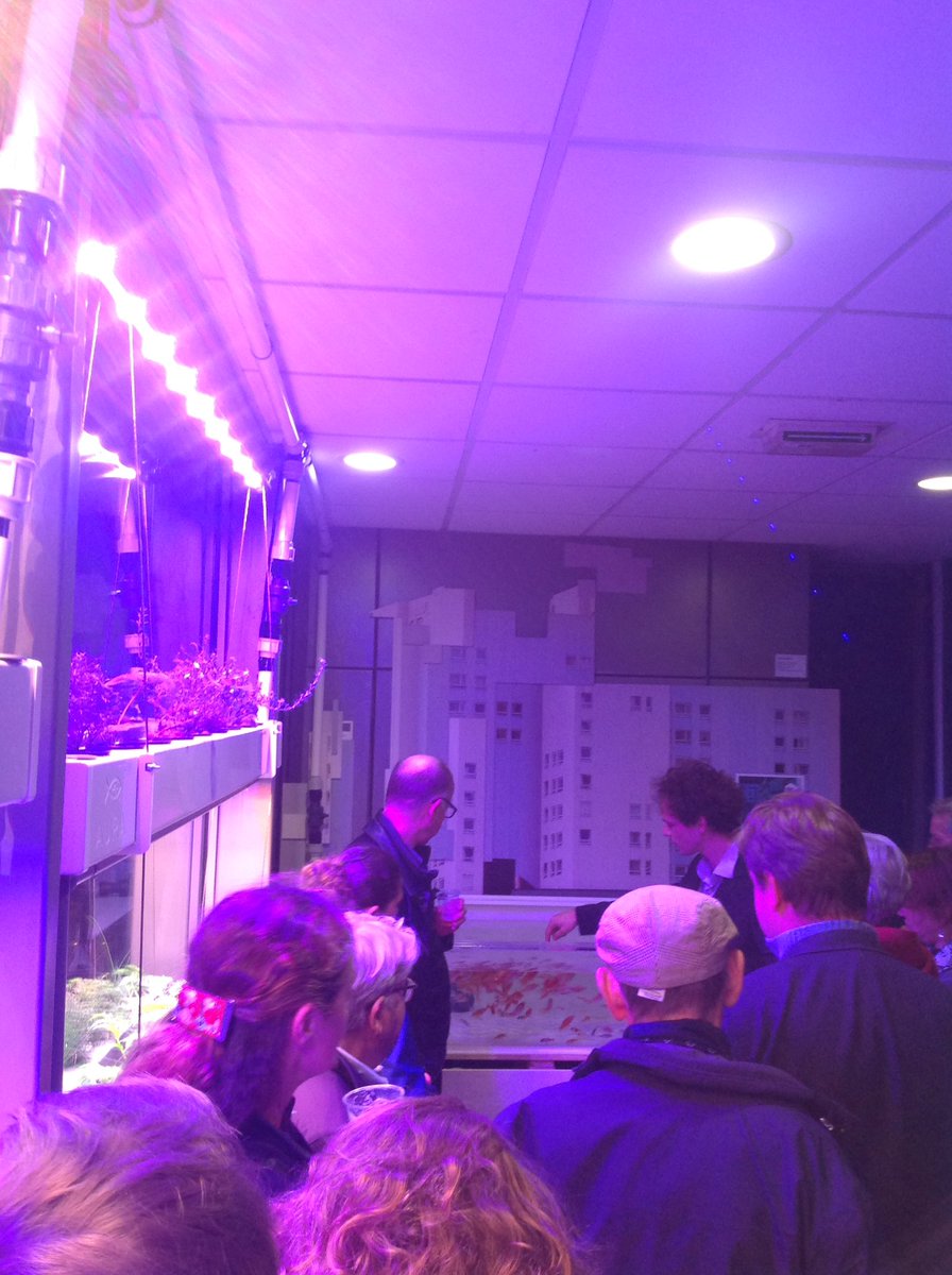 lecubegarges's tweet image. Découverte du sytème #aquaponie au Cube avec @aura_urbaine #inauguration #agricultureurbaine
