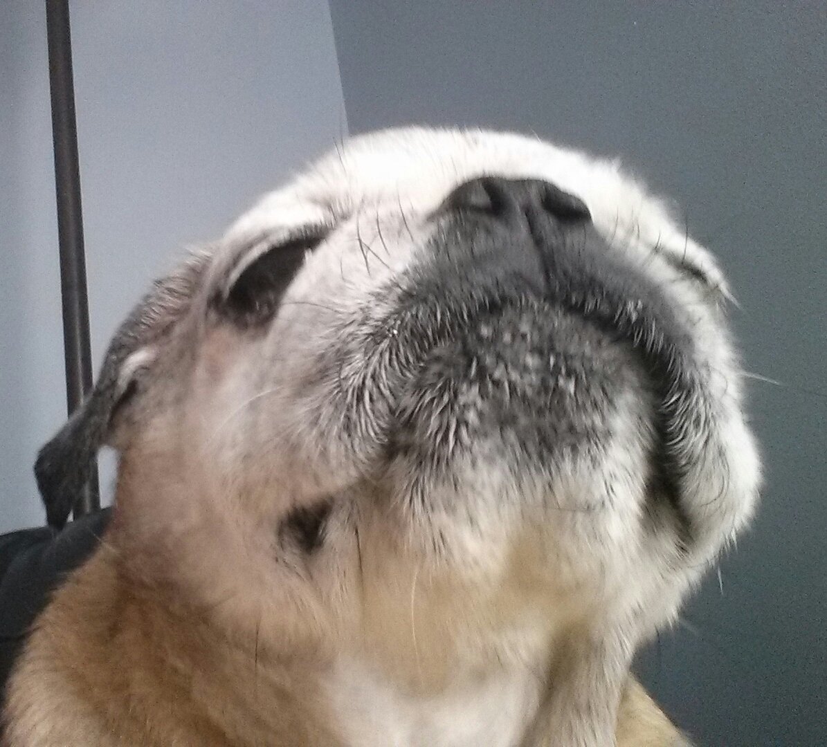 SarahPug12's tweet photo. Ummm-humm, that's right!!!! #SarahThoughts 😉 https://t.co/J0VRejrAJD