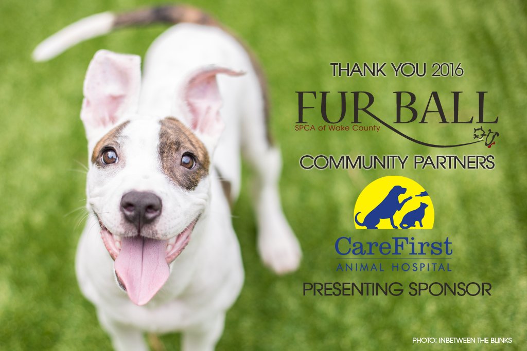 SPCAwake's tweet photo. Thank you @CareFirstAnHosp for being one of this year's Presenting Fur Ball sponsors! https://t.co/Ivq0du73O0