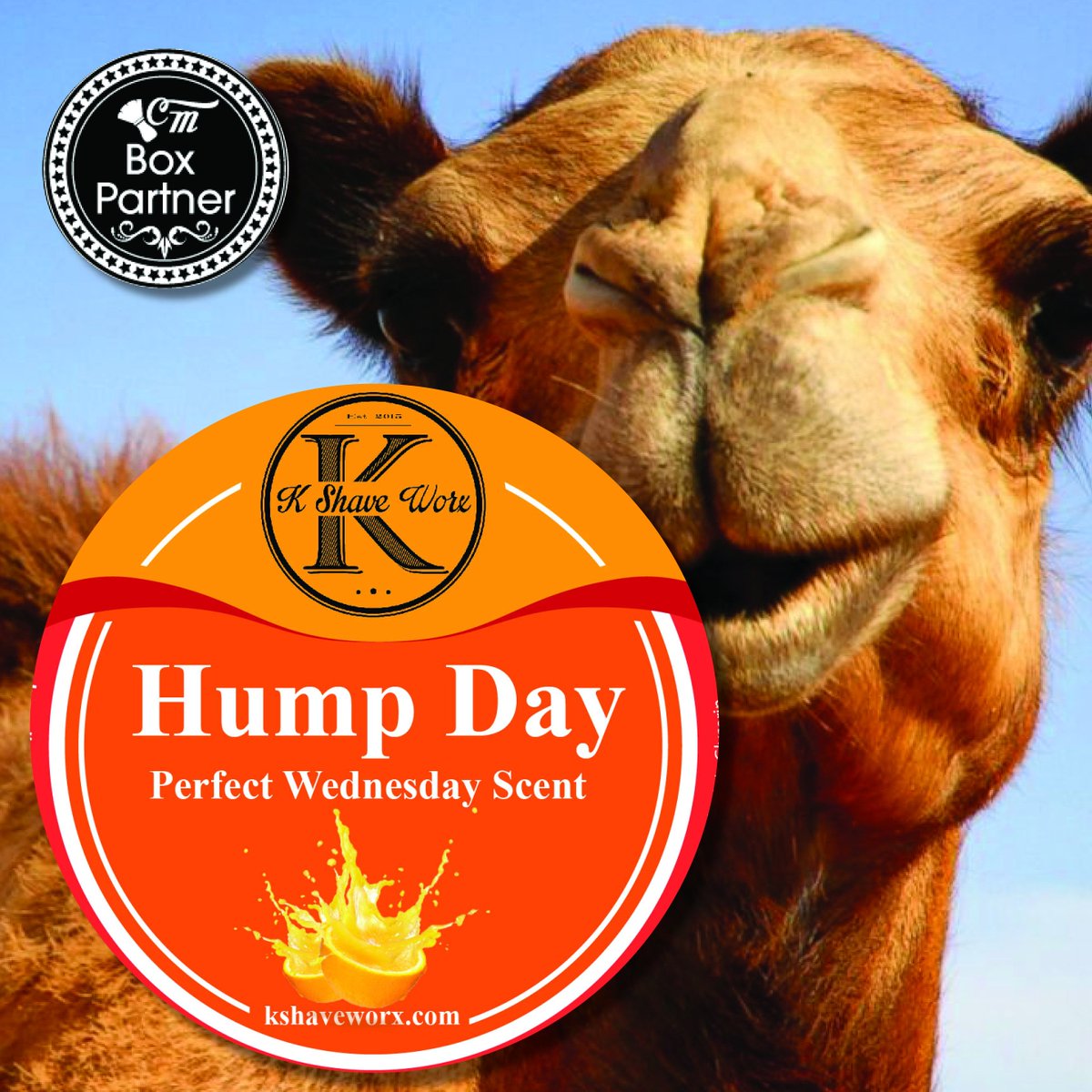 ClassyMan Shave Club tweet media