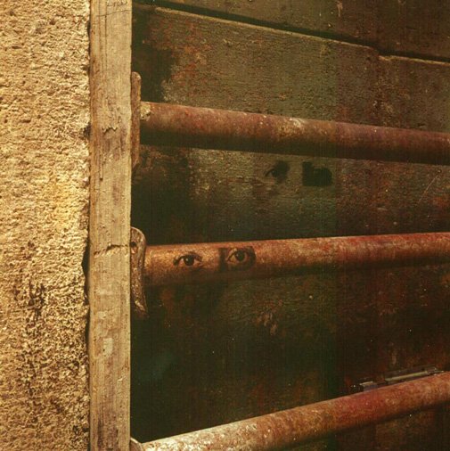 Artist: Graciela Sacco Info: artsy.net/artist/graciel… 
#art #artist #artgalleries #contemporaryart #fineart #photography