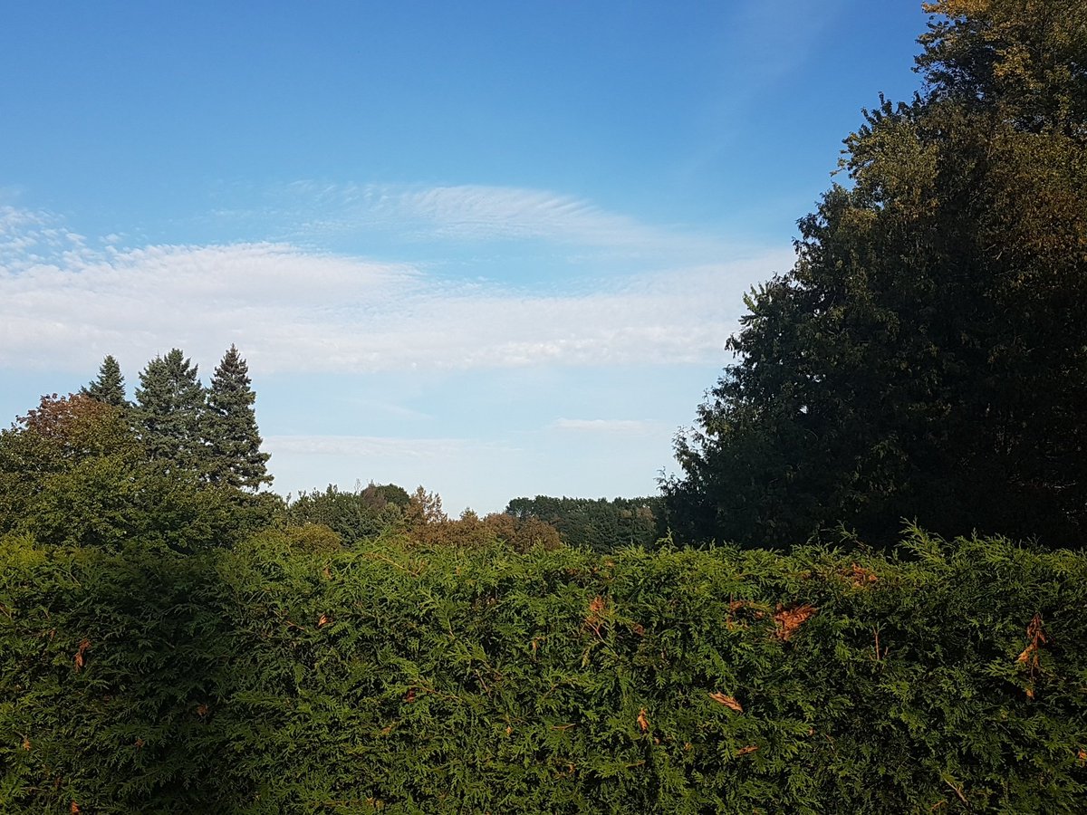 Bryce_Gamache's tweet photo. Outside writer breaks. Fresh air for the mind. How do you refresh? #cfccreates #writerbreak https://t.co/PkbQIrUBFd
