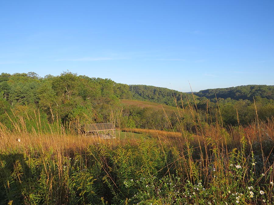 DENatureSociety's tweet photo. A gorgeous fall day on the trails at Ashland Nature Center! #DelNature #Ashland #Take5Outside #FallScenery https://t.co/ADhklViX8d