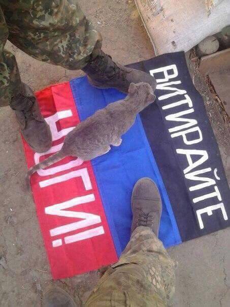 Фракция "Народного фронта" не будет голосовать за "особый статус" Донбасса, - Геращенко - Цензор.НЕТ 7221