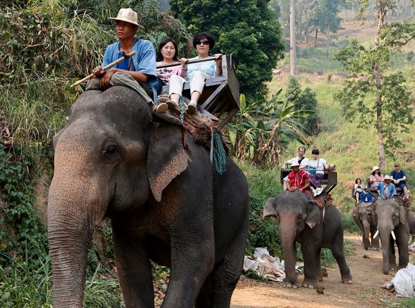 AmyRoseKathryn's tweet photo. TripAdvisor to Stop Selling Tickets to Many Animal Attractions https://t.co/9rPpSvu2Rv https://t.co/zPvHTC6oSp