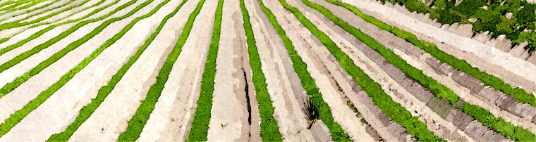 SunDocFilings's tweet image. Gallup’s Ten Ingredients for Business Success

bit.ly/2cqgRHi