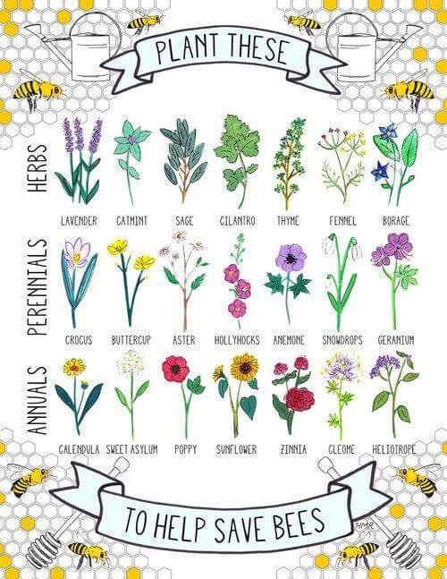 Suzanne_Heath's tweet photo. Just saw this @avantgardenlond I don't know much so this is my contribution to #BathKnowhow Oct 20th event...! https://t.co/PclqvjN646