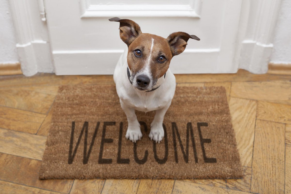 KeapGrowing's tweet photo. Is your welcome email boring? A first impression is everything! See 8 examples of really good welcome emails.

⤷ https://t.co/OdmWBZVmOl https://t.co/bbwpewgwde