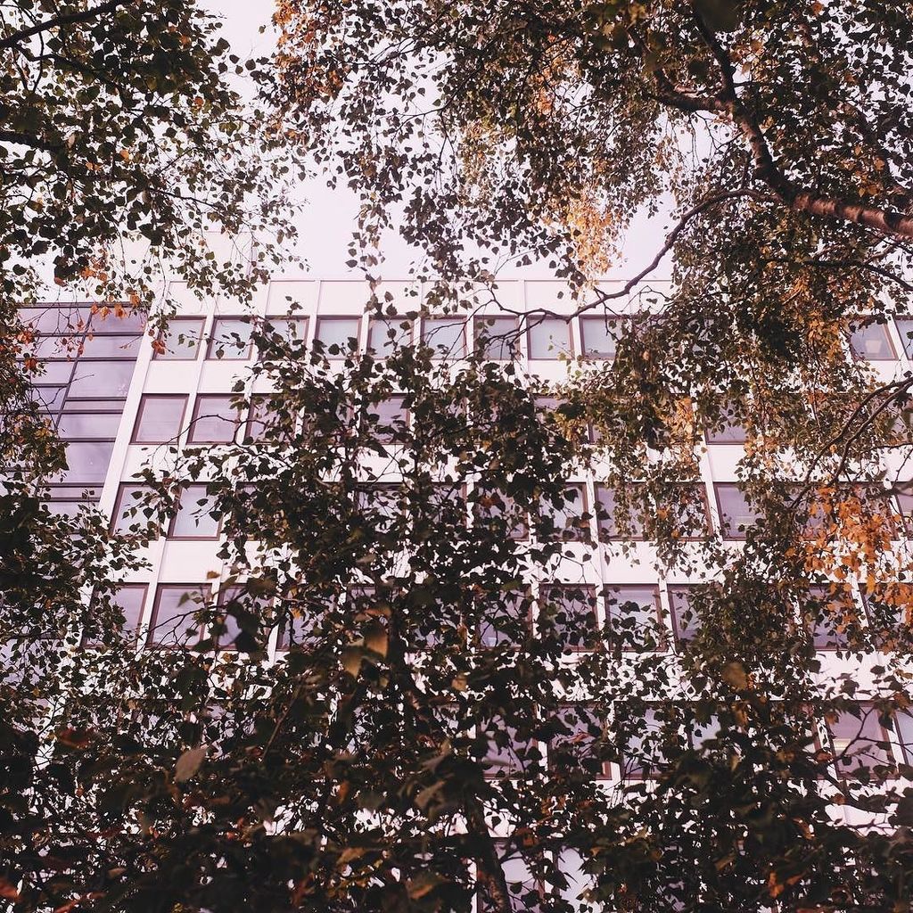 urbanbelfast's tweet photo. 🏢🌳 #urbanbelfast https://t.co/jDJ8IzbyOf https://t.co/Hv3DFHw6Lm