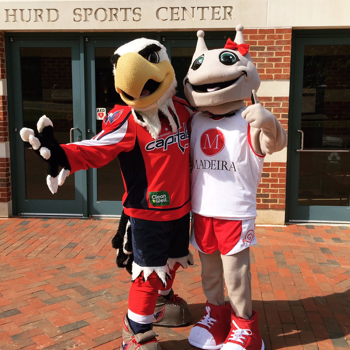 MadeiraSnails's tweet photo. #MadeiraSnails love @caps_slapshot and the @capitals #MadeiraAthletics #HappyBirthdaySkylar https://t.co/1rfFEoUWsl