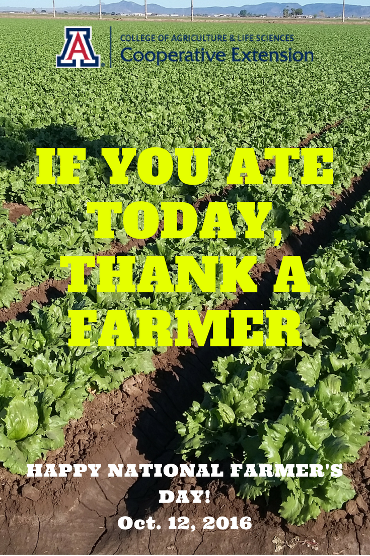 UAZCoopExt's tweet photo. #NationalFarmersDay #ThankaFarmer  Words of Wisdom from Dr. Jeff Silvertooth on this day of gratitude: https://t.co/kuuNtlyIHr https://t.co/4fisHgNBuA