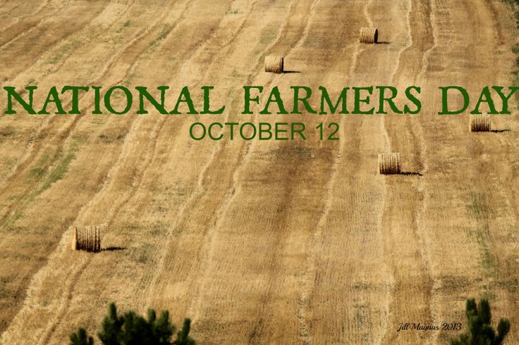 RepMcKee's tweet photo. Today is National Farmers Day; in recognition of the contributions farmers make to our nation and to Kentucky's economy. https://t.co/DHVXYe4QGb