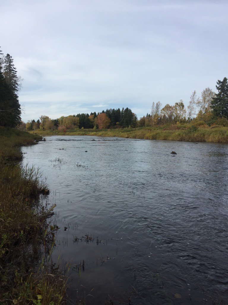 mgray_forem's tweet photo. My office for today... #nbfall #getoutside #lovemyjob @UNBForEM https://t.co/X5YG8RUSuf
