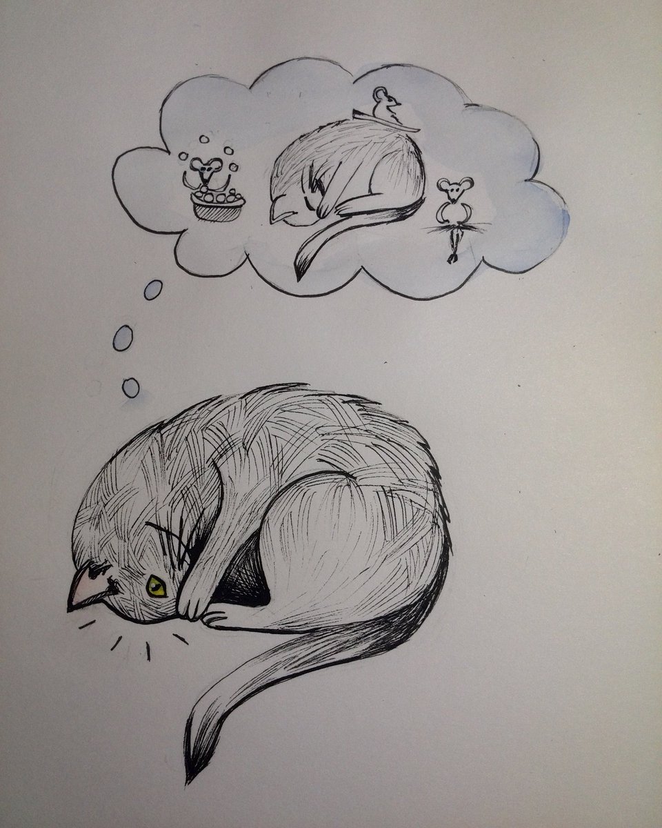 17000coco's tweet image. les chats ont des soucis aussi #soucieux #worried #inktober #Inktober2016 #ink #sketch #illustration #drawing #art