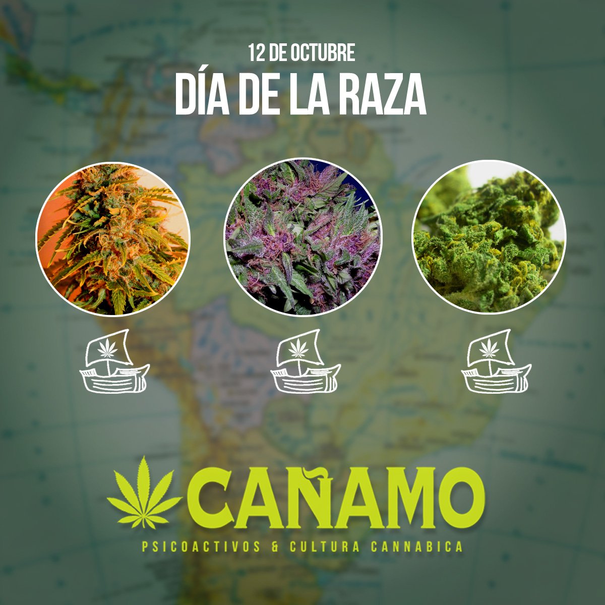 Tierra a la vista 🌎  #RevistaCáñamo