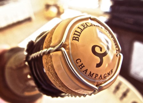 Stems & Skins tweet media