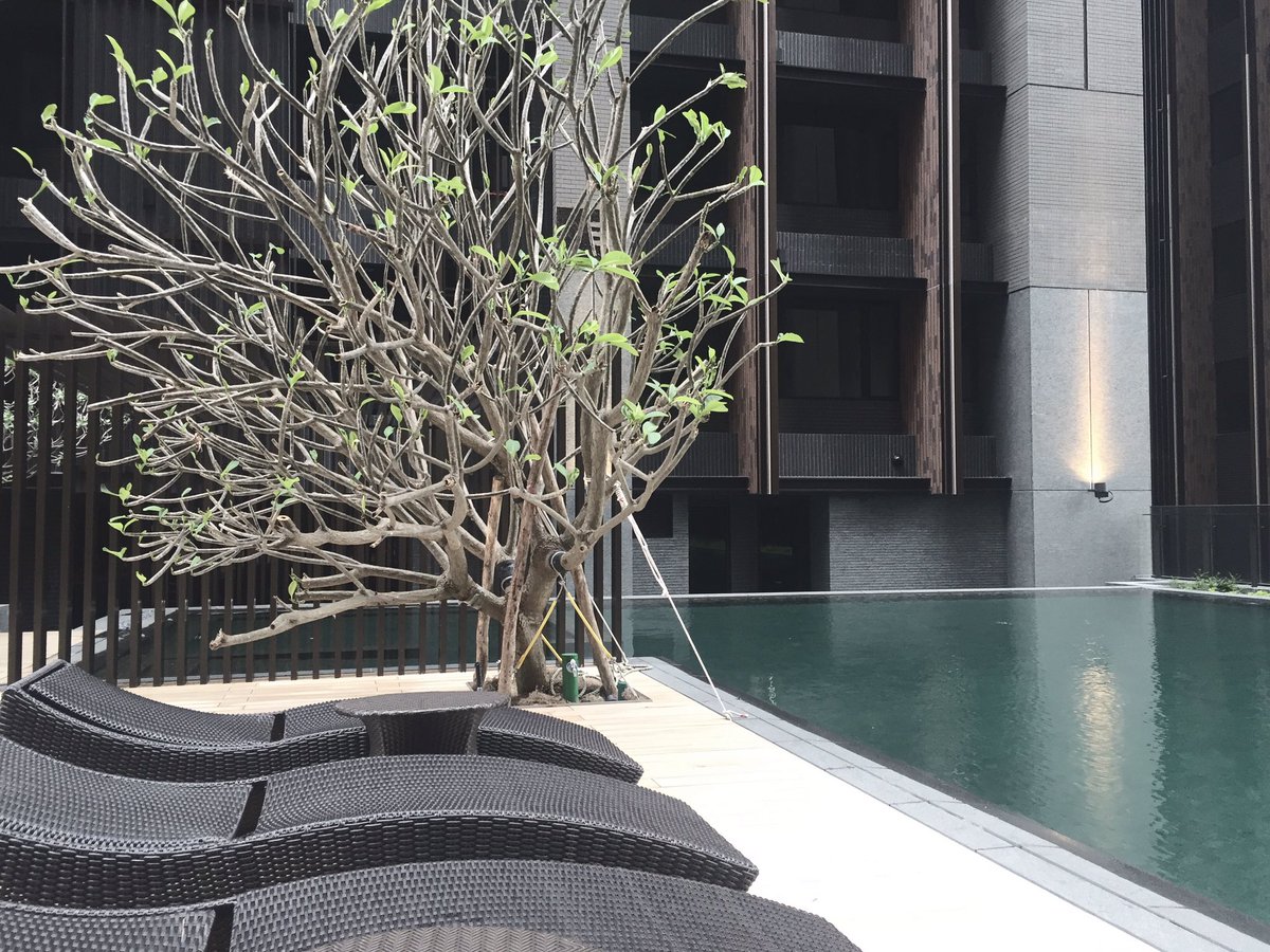 李天鐸✍🏻
#architecture #architecturedesign #건물 #建物 #Building #Interiordesign #design #Luxury #stone #house #home #followme #Taiwan