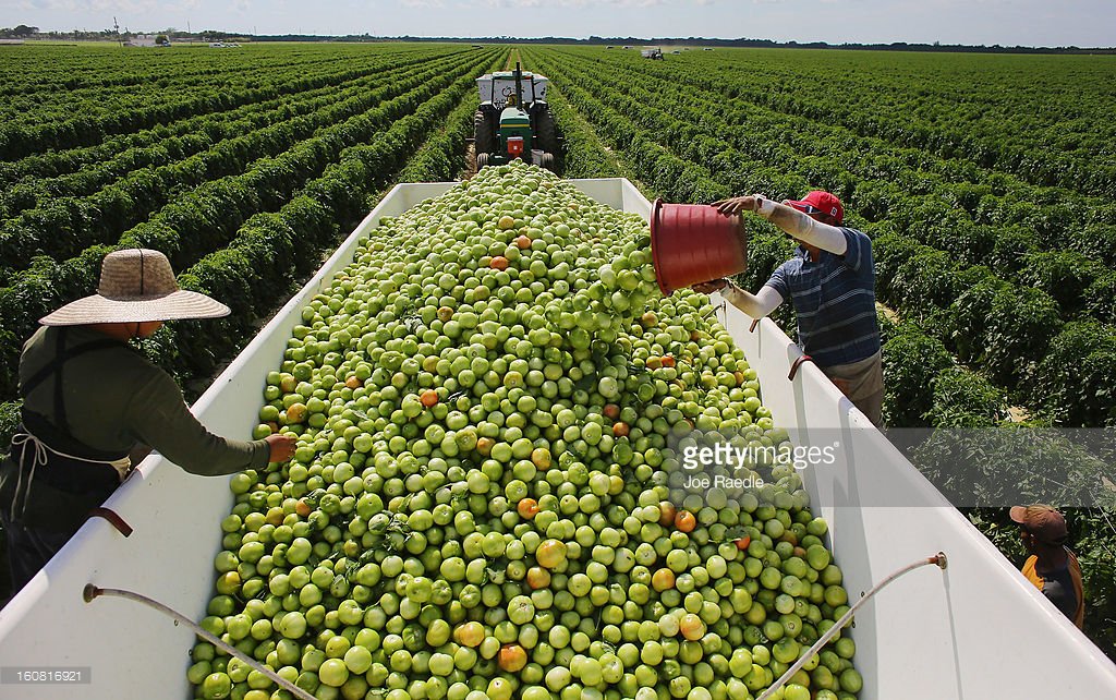 GettyImages's tweet photo. Visualizing agriculture on #NationalFarmersDay: https://t.co/fUVh1hc7iM https://t.co/bV1ab0ZxCo