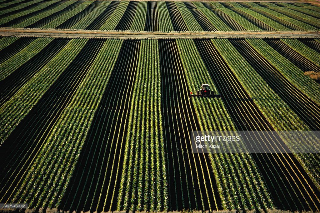 GettyImages's tweet photo. Visualizing agriculture on #NationalFarmersDay: https://t.co/fUVh1hc7iM https://t.co/bV1ab0ZxCo