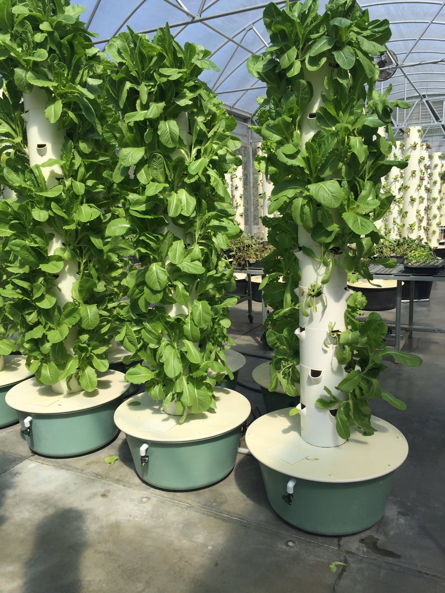 MMartoral's tweet photo. @TeresaHouser3 - Perfect EDEP project for schools- Garden Club with Living Towers of fruits and vegetables https://t.co/RAlBfdyq2I