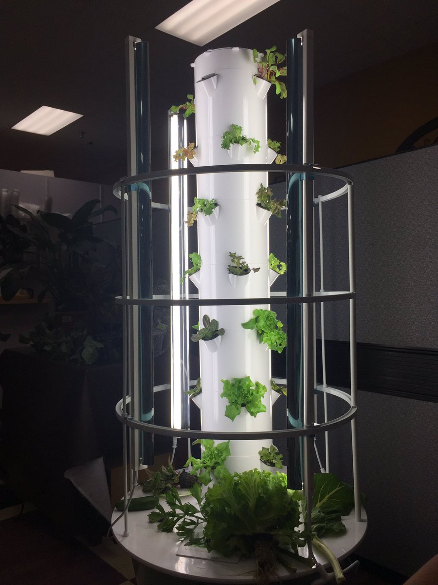 MMartoral's tweet photo. @TeresaHouser3 - Perfect EDEP project for schools- Garden Club with Living Towers of fruits and vegetables https://t.co/RAlBfdyq2I