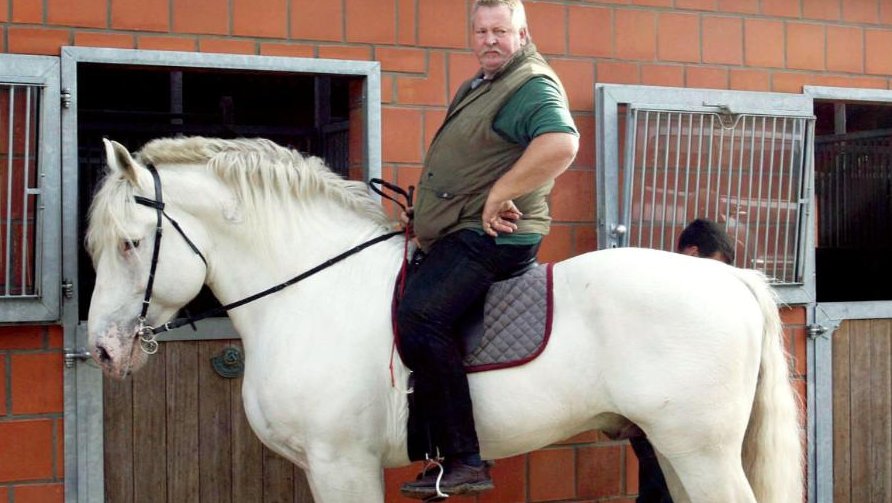 Bild On Twitter Was Kaum Jemand Uber Den Xxl Ostfriesen Und Pferdeflusterer Tamme Hanken Wusste Https T Co Htagavqqsy