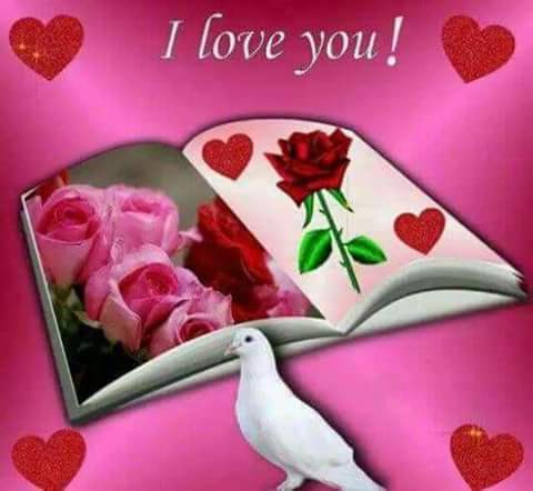 MemeAbebe's tweet photo. @MemeAbebe https://t.co/4FuxvbuyeM