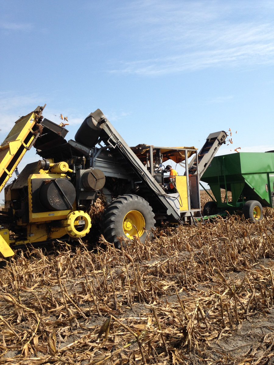 tina_perth's tweet photo. Checking out seed corn harvest at @Maizex today! https://t.co/N7BTzSZ0Yk