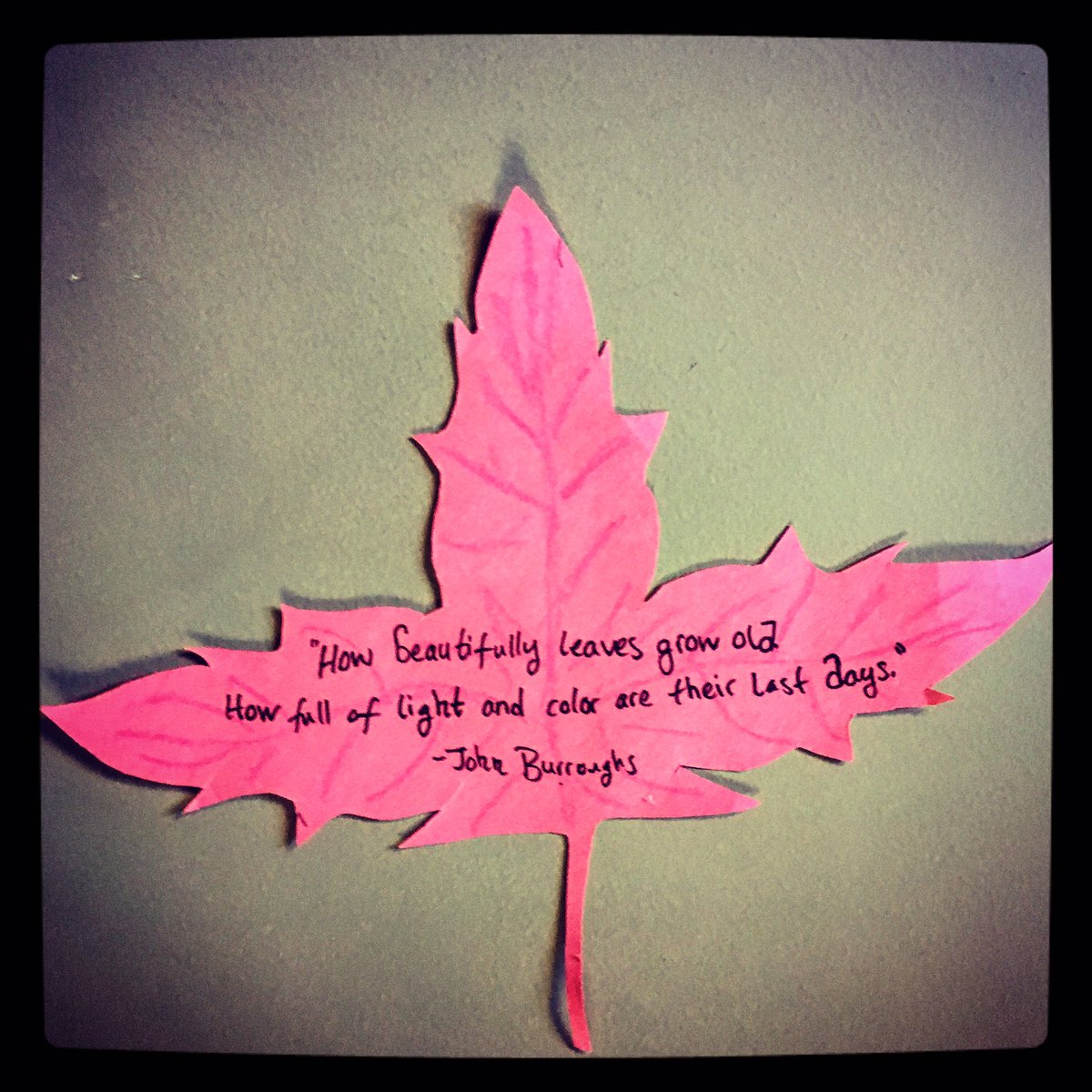 WritersandBooks's tweet photo. Come visit. Walk & read our staircase filled with fall-inspired literary quotes. #Burroughs #Frost #Tolkien #Eliot #Capote #Fall4fall https://t.co/FzmYgWKVkA