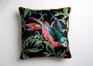Planning a tropical interior our new V&amp;A velvet cushions are the perfect place to start #cushions #velvet #decor #interiordesign