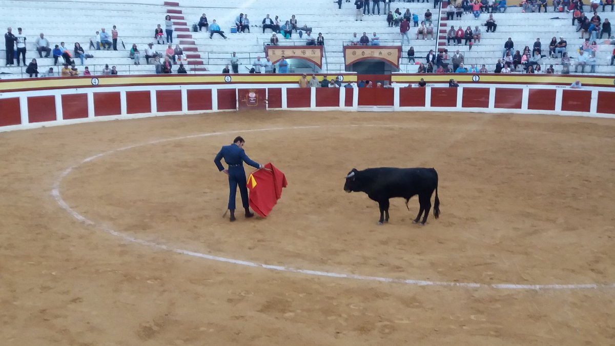 pedrommellinas's tweet photo. Entretenido Tentadero pasado por agua en #Calasparra. Destacó la desbordante personalidad añeja de @Curro_Maya https://t.co/fZtbKhszoV