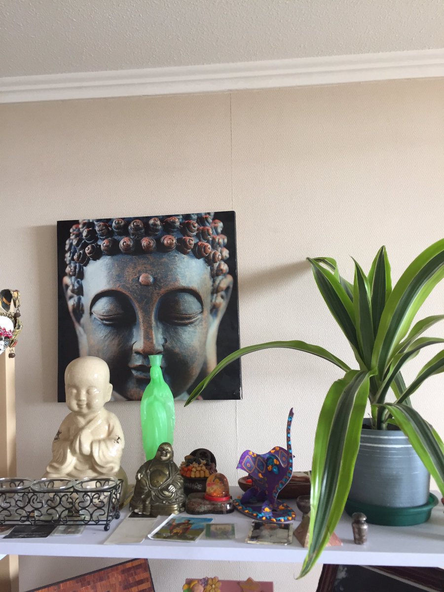 WellnessBreakCL's tweet photo. Principales beneficios de tener plantas en casa https://t.co/YWK8aHYd1s https://t.co/b3b0BXe6pI