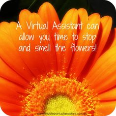 vurullc's tweet photo. Follow us on Facebook! https://t.co/icfIK99bKd
#reo #bpo #appraiser #agent #broker #realestate #virutalassistant #va #vuruvas https://t.co/NrQ9qh8U9B