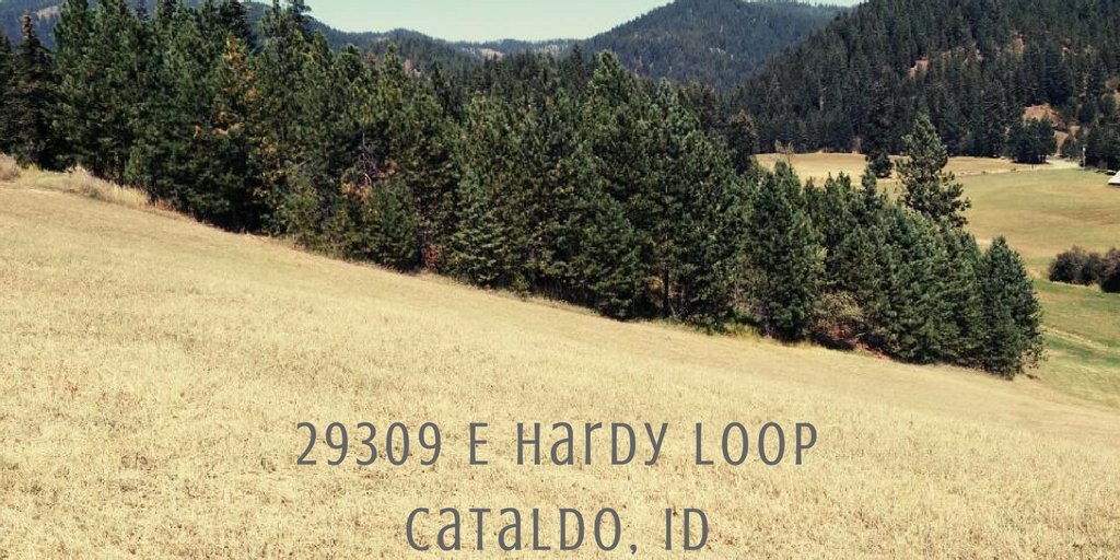 CDAPrime's tweet photo. 29309 E Hardy Loop | Cataldo, ID | $550,000  
#fields #land #acreage #idaho #idahome #nature #realestatelife #realestateinvestors @CDAPrime https://t.co/b811ycQQVb